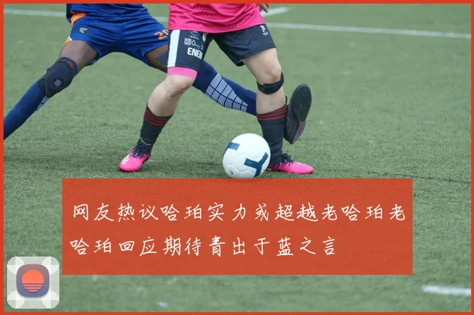 网友热议哈珀实力或超越老哈珀老哈珀回应期待青出于蓝之言