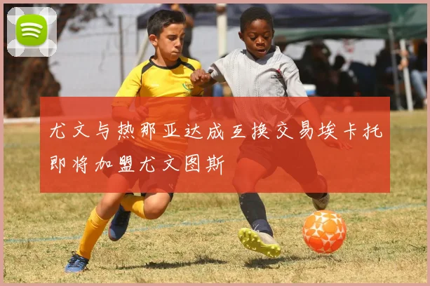 尤文与热那亚达成互换交易埃卡托即将加盟尤文图斯